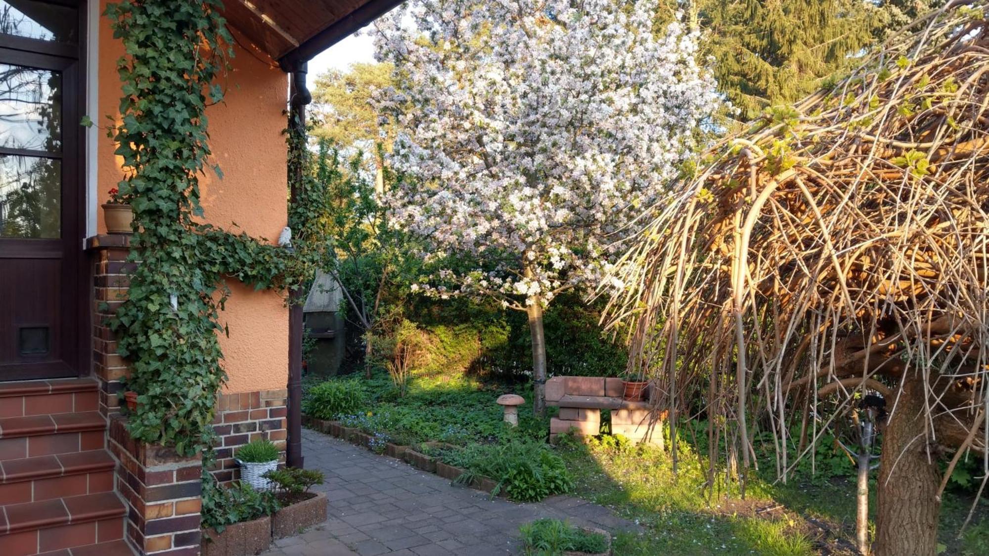 Ferienwohnung Luise, Gemuetlich, Freundlich Und Ganz Nah An Berlin Oranienburg Εξωτερικό φωτογραφία